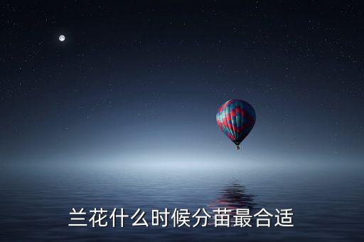 兰花苗，兰花一般什么时候发芽