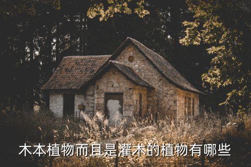 木本植物而且是灌木的植物有哪些