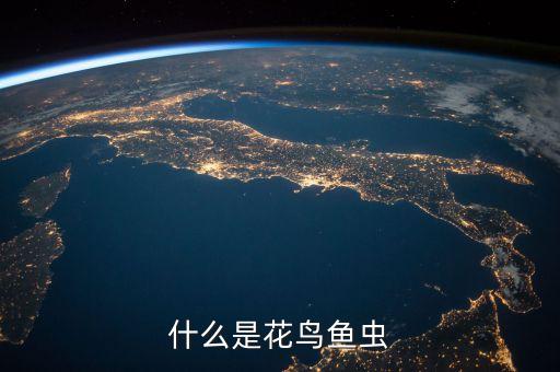 什么是花鸟鱼虫