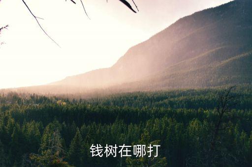 钱树在哪打