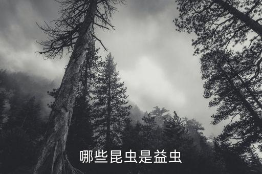 哪些昆虫是益虫