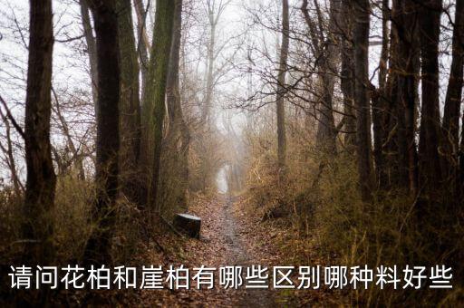 花柏，柏树的种类