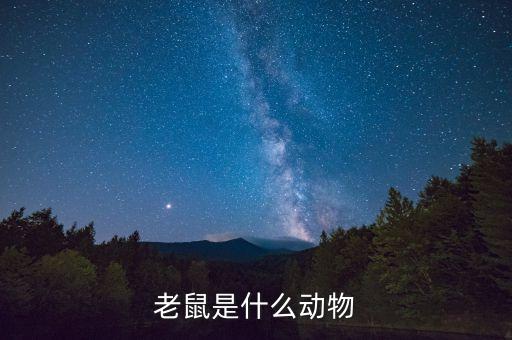老鼠是什么动物