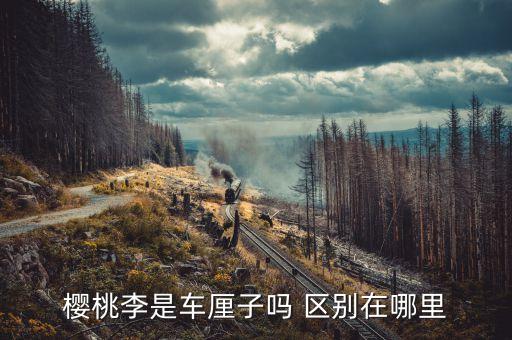 樱桃李是车厘子吗 区别在哪里