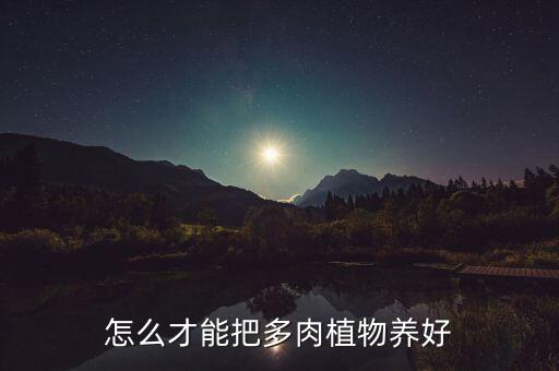 如何养多肉，多肉植物怎样养