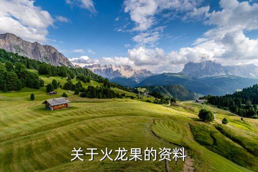 火龙果图片，关于火龙果的资料