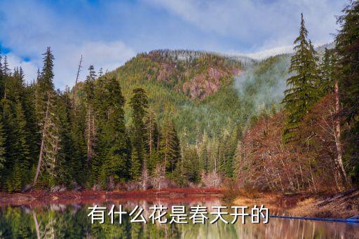 春天开放的花，春天开哪些花