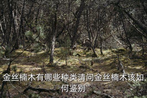金丝楠木有几种，金丝楠木有哪些种类