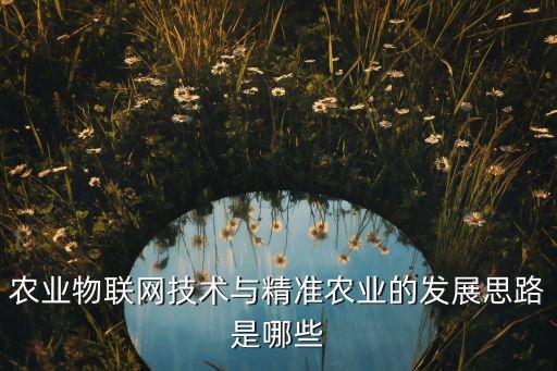 物联网农业怎么做大，农业物联网要如何实施