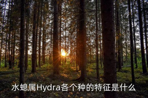 水螅属Hydra各个种的特征是什么