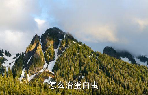 怎么治蛋白虫