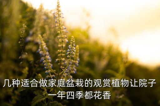 观赏盆景，几种适合做家庭盆栽的观赏植物让院子一年四季都花香