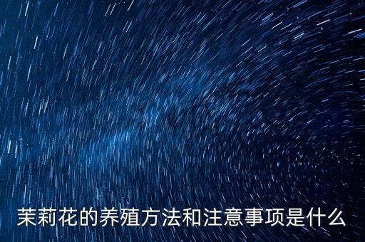 茉莉花的养殖方法，茉莉的养殖方法