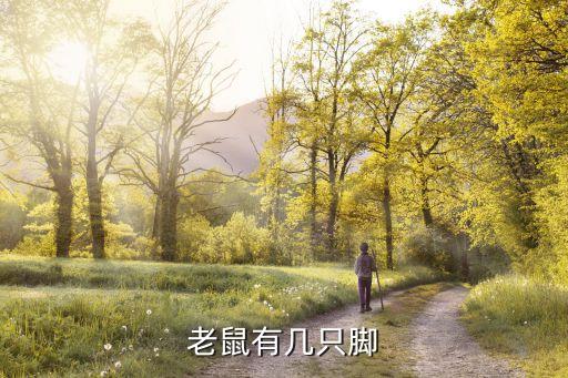 老鼠有几只脚