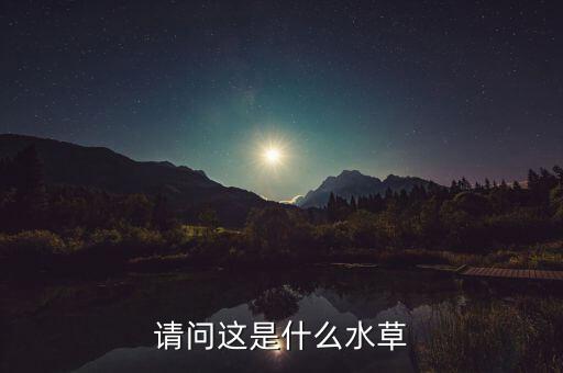 请问这是什么水草