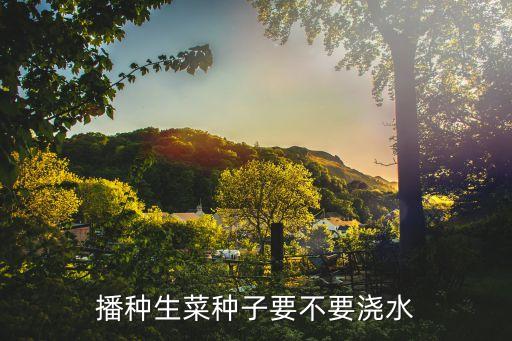 生菜种子，播种生菜种子要不要浇水