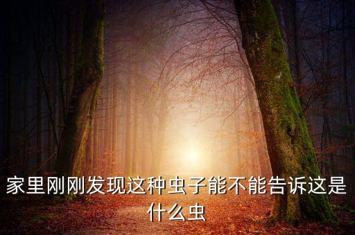 家里刚刚发现这种虫子能不能告诉这是什么虫