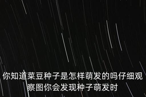 你知道菜豆种子是怎样萌发的吗仔细观察图你会发现种子萌发时