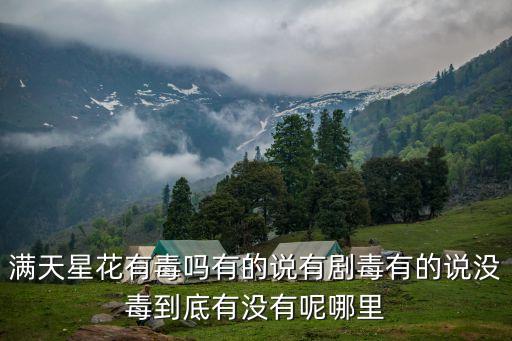 满天星有毒吗，满天星花有毒吗