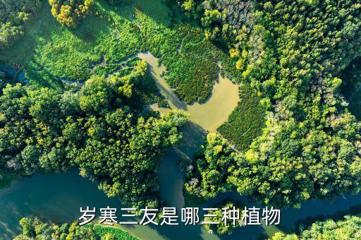 岁寒三友是哪三种植物