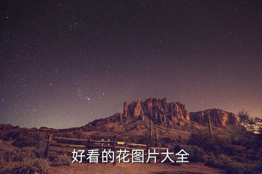 好看的花图片大全