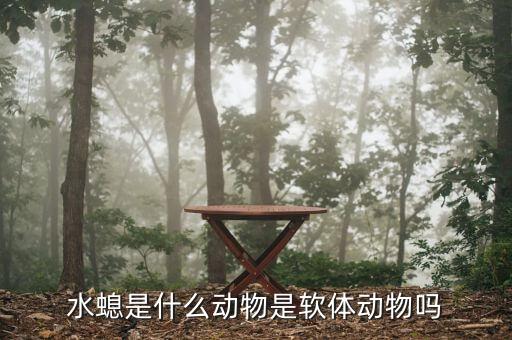 水螅是什么动物是软体动物吗