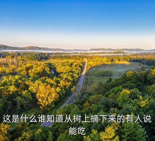 刺老芽是香椿吗，刺嫩芽是不是香椿芽