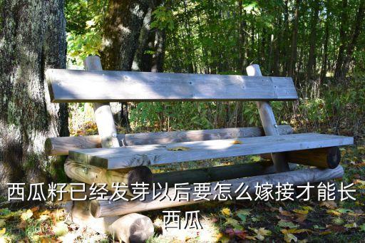 西瓜籽已经发芽以后要怎么嫁接才能长西瓜