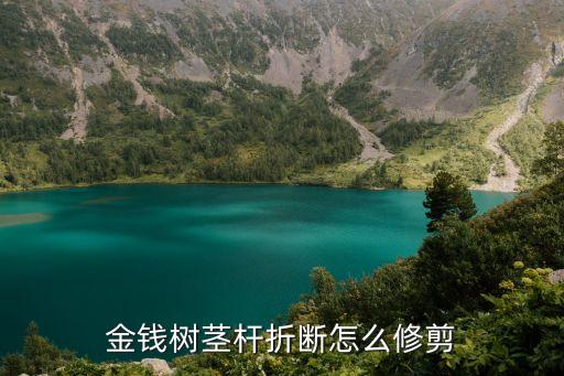 金钱树茎杆折断怎么修剪