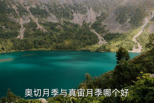 真宙月季图片，新手想在阳台种个月季花墙应该如何选品种