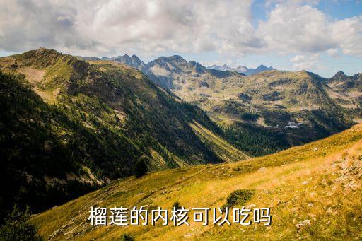 榴莲的内核可以吃吗
