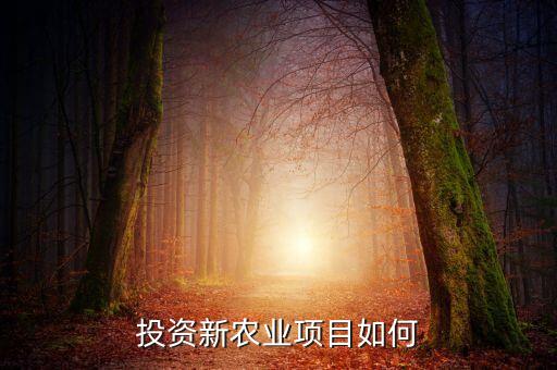 现在投资农业怎么样，投资新农业项目如何