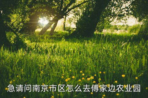 急请问南京市区怎么去傅家边农业园