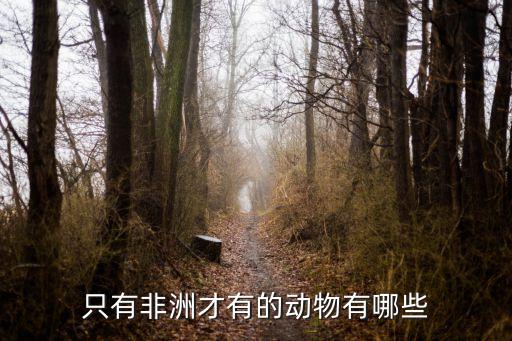只有非洲才有的动物有哪些