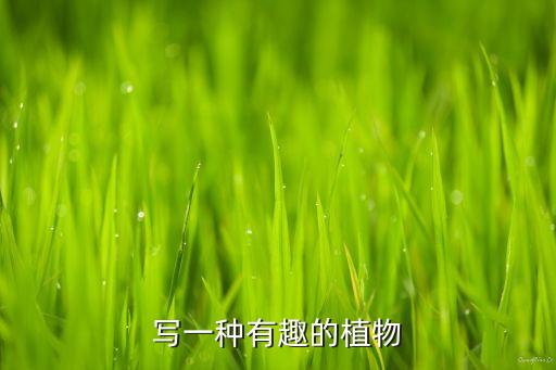 有趣的植物有哪些，最有意思的植物是什么