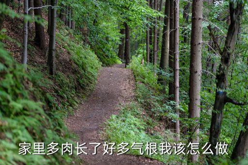 家里多肉长了好多气根我该怎么做