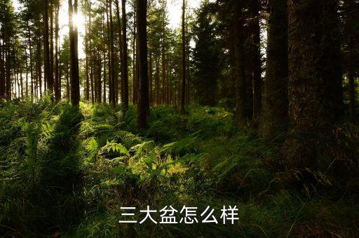 三大盆，中国三大盆地是什么
