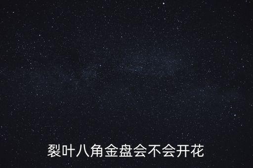 裂叶八角金盘会不会开花