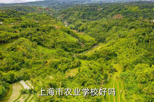 上海市农业学校好吗