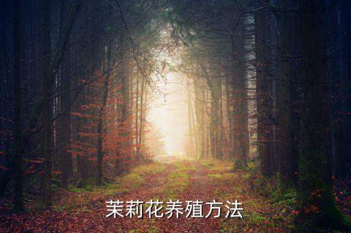 苿利花怎么养，怎样养好苿莉花