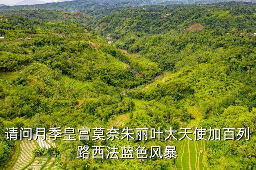 朱丽叶月季图片，月季圣女贞德与朱丽叶的区别