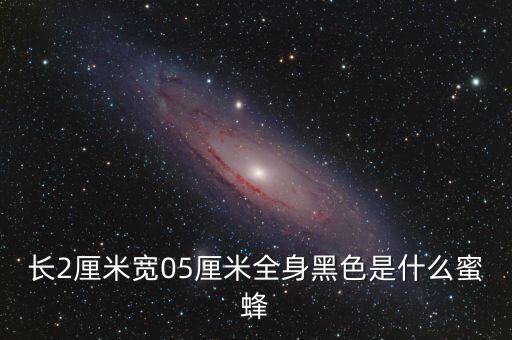 长2厘米宽05厘米全身黑色是什么蜜蜂