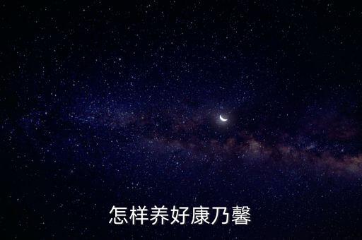 康乃馨好养吗，如何养康乃馨呢