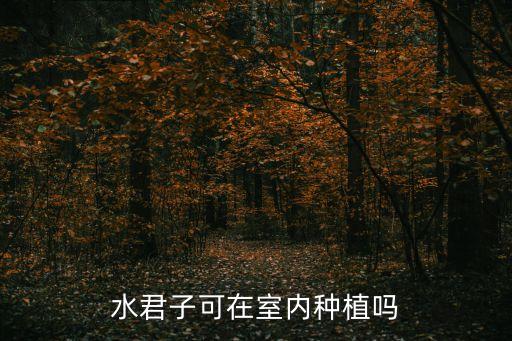水君子，水君子可在室内种植吗