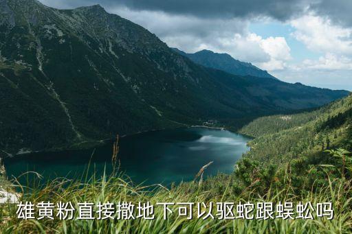 雄黄粉直接撒地下可以驱蛇跟蜈蚣吗