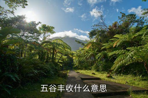 五谷丰收什么意思