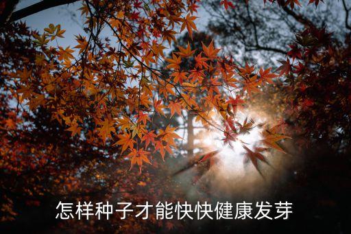 种子怎么发芽快，怎样种子才能快快健康发芽