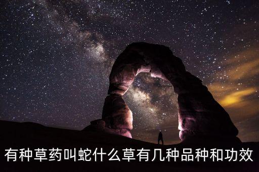 白蛇根草，请大家帮忙看看这是什么植物
