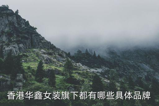 香港华鑫女装旗下都有哪些具体品牌