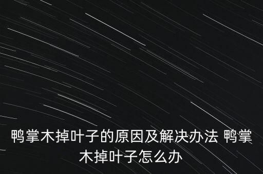 鸭脚木叶，鸭掌木掉叶子的原因及解决办法 鸭掌木掉叶子怎么办